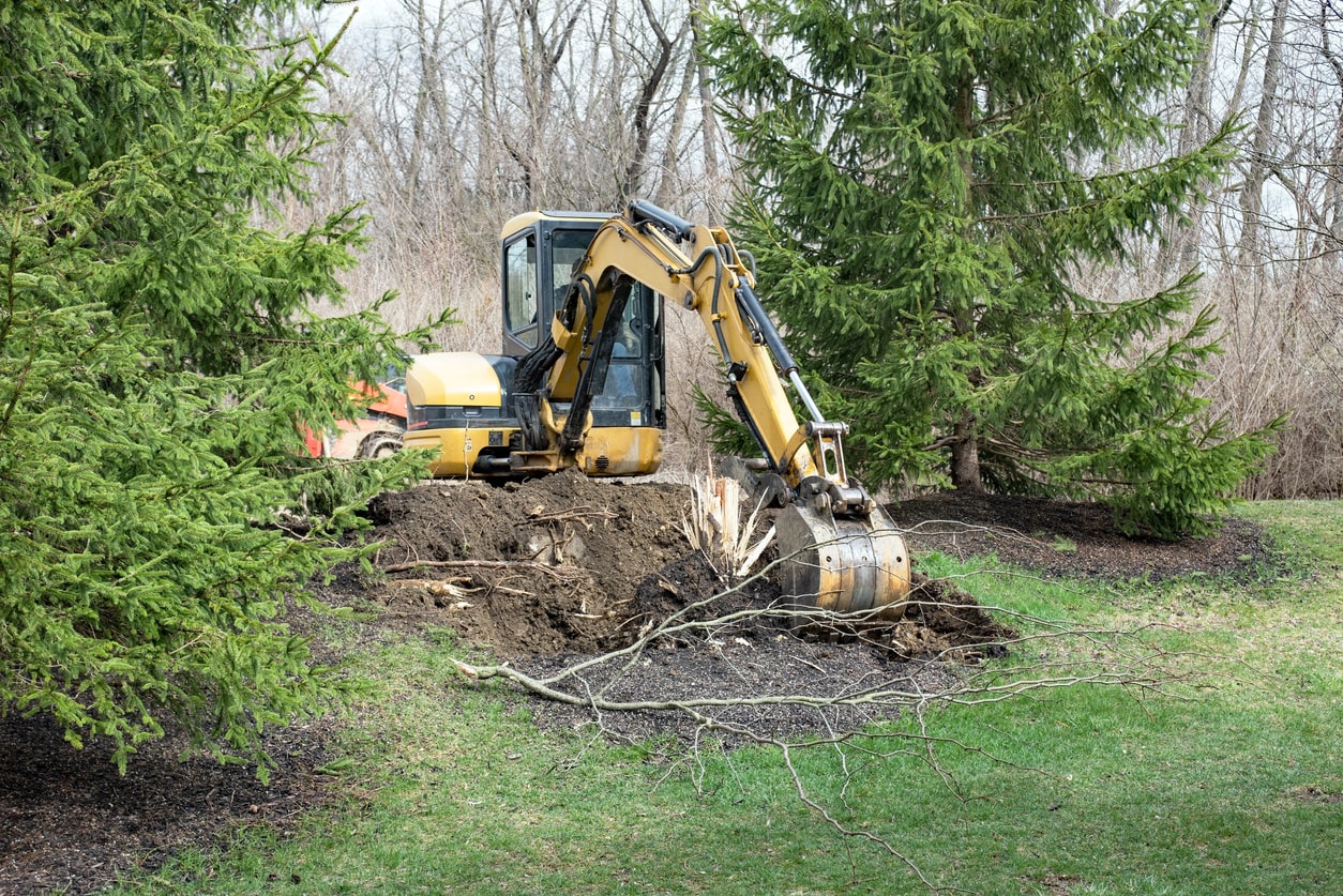 Excavator removing a tree