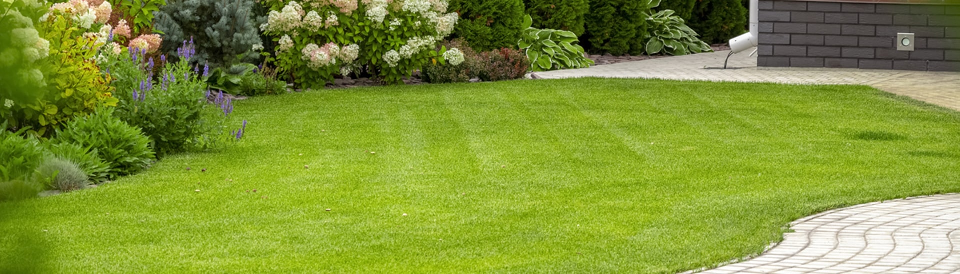 Landscaped garden with healthy plants