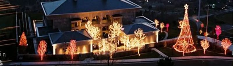 House and trees decorated with holiday lights
